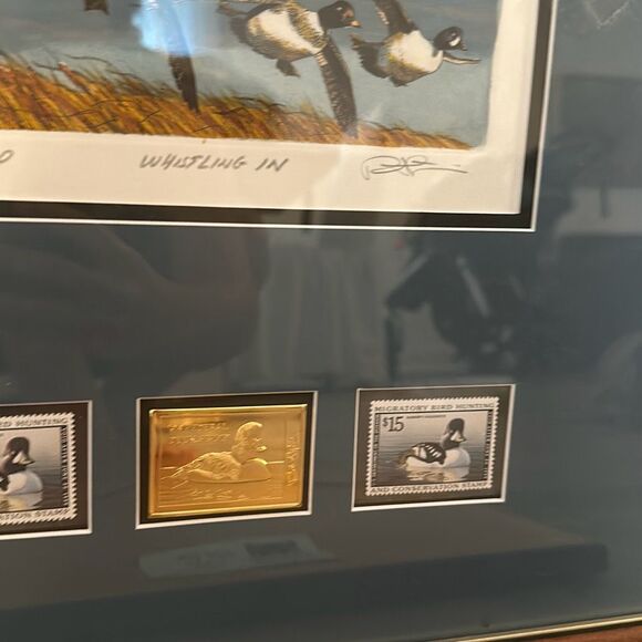 1998 FEDERAL DUCK STAMP PRINT! 1998 BARROW’s GOLDENEYE DRAKE SIGNED  Medallion e - Picture 4 of 9